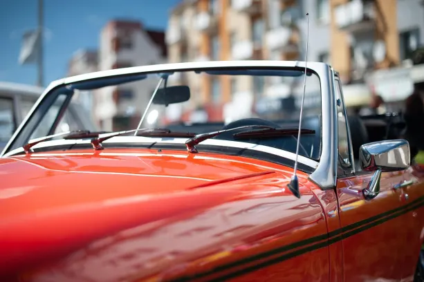 MrOyun Casino Application Android/iOS